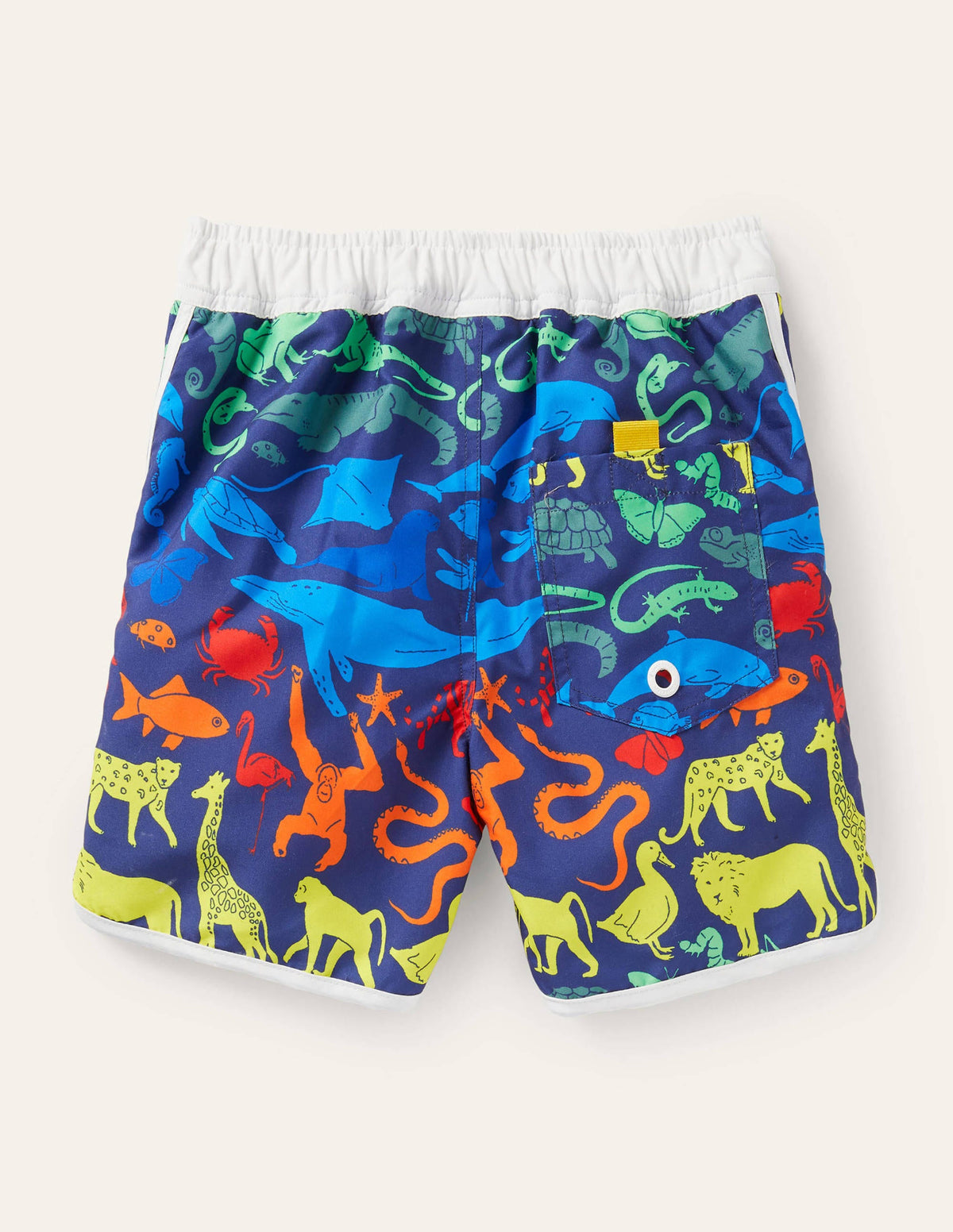 Short de surf imprimé-Animaux arc-en-ciel bleu tribord - Image 2
