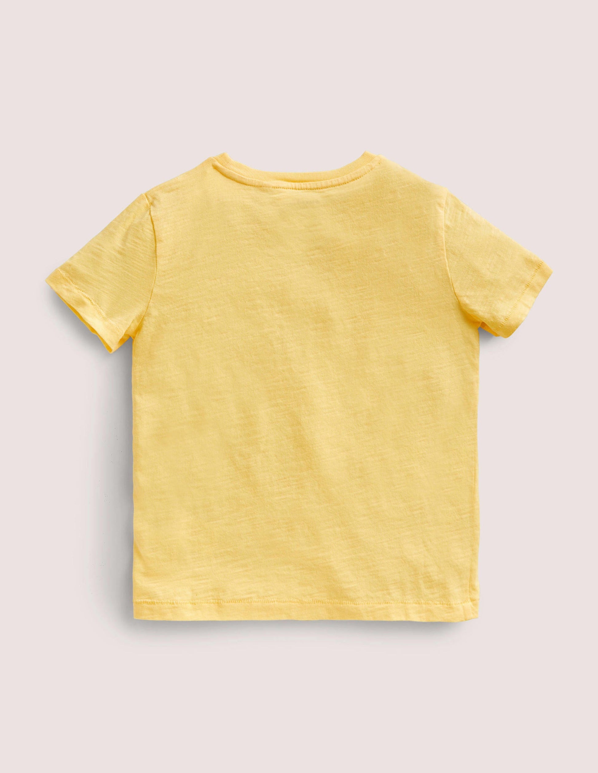 Striped Washed Slub T-shirt-Sun Bleach Yellow-2