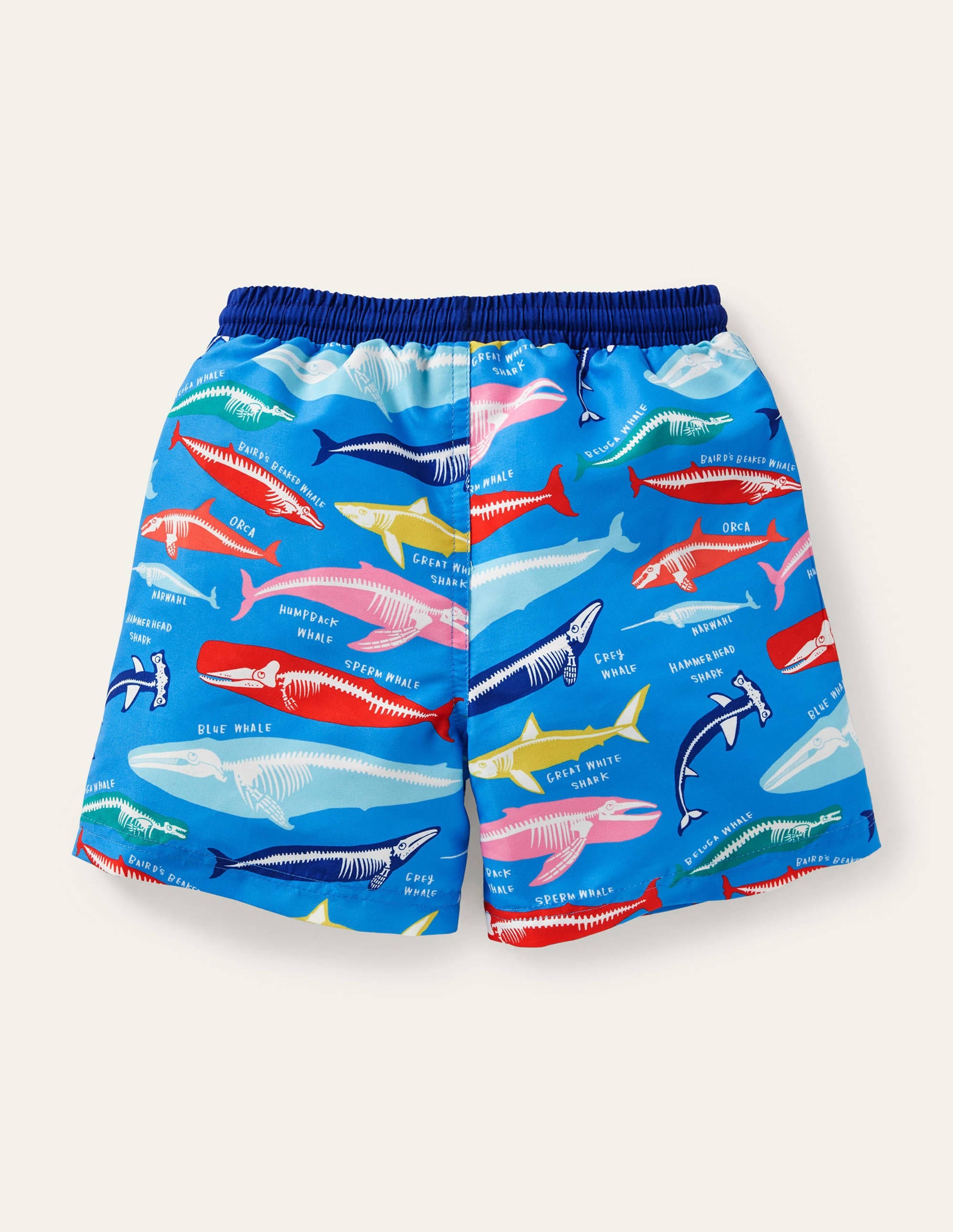 Short de bain imprimé-Bleu Malibu, motif Whales Bones - Image 2