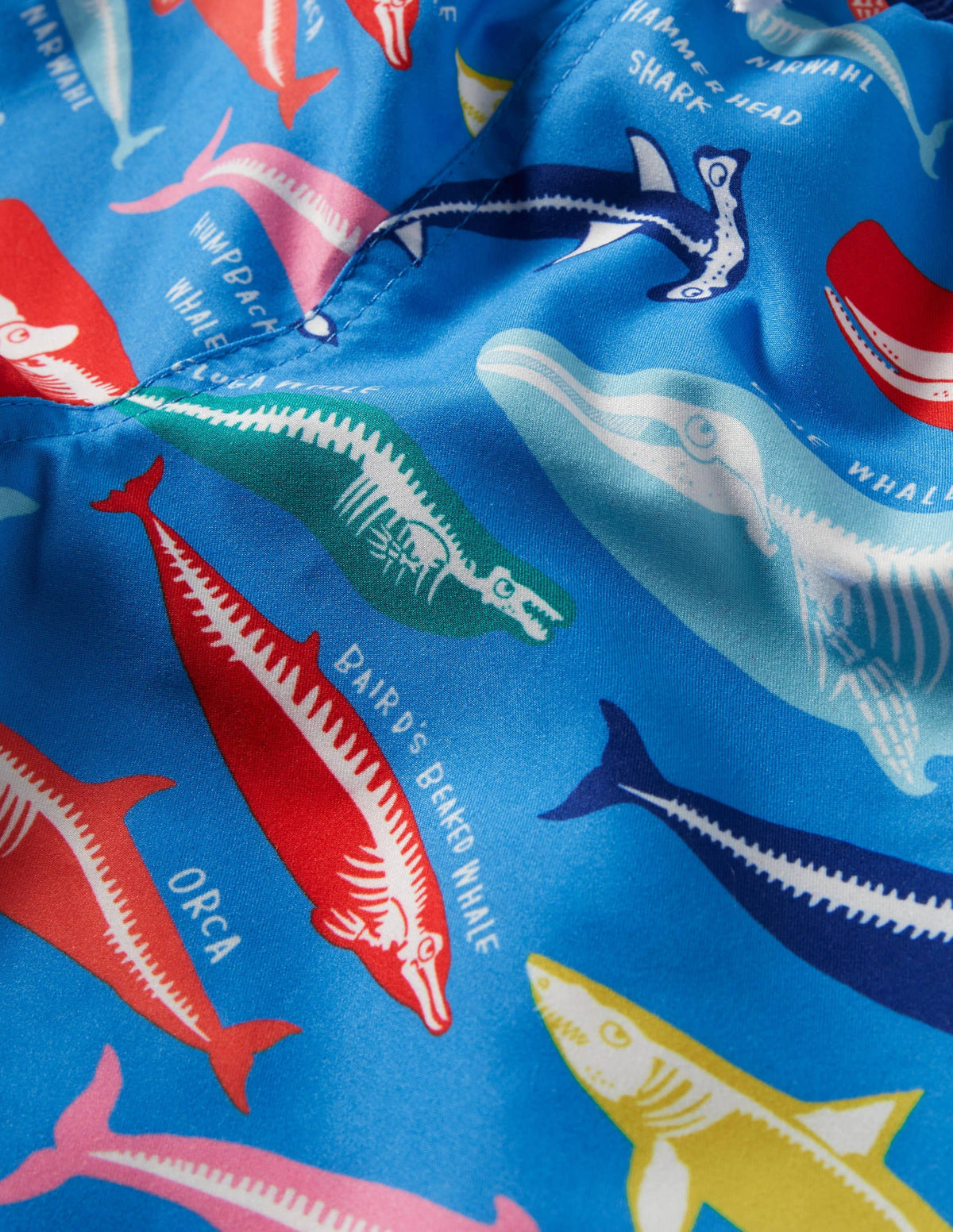Short de bain imprimé-Bleu Malibu, motif Whales Bones-3