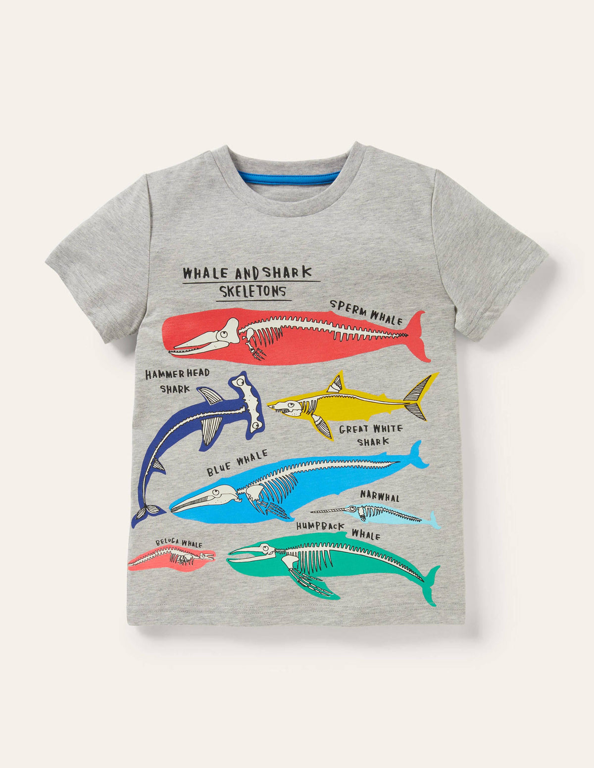 T-shirt phosphorescent-Animaux marins gris chiné-1