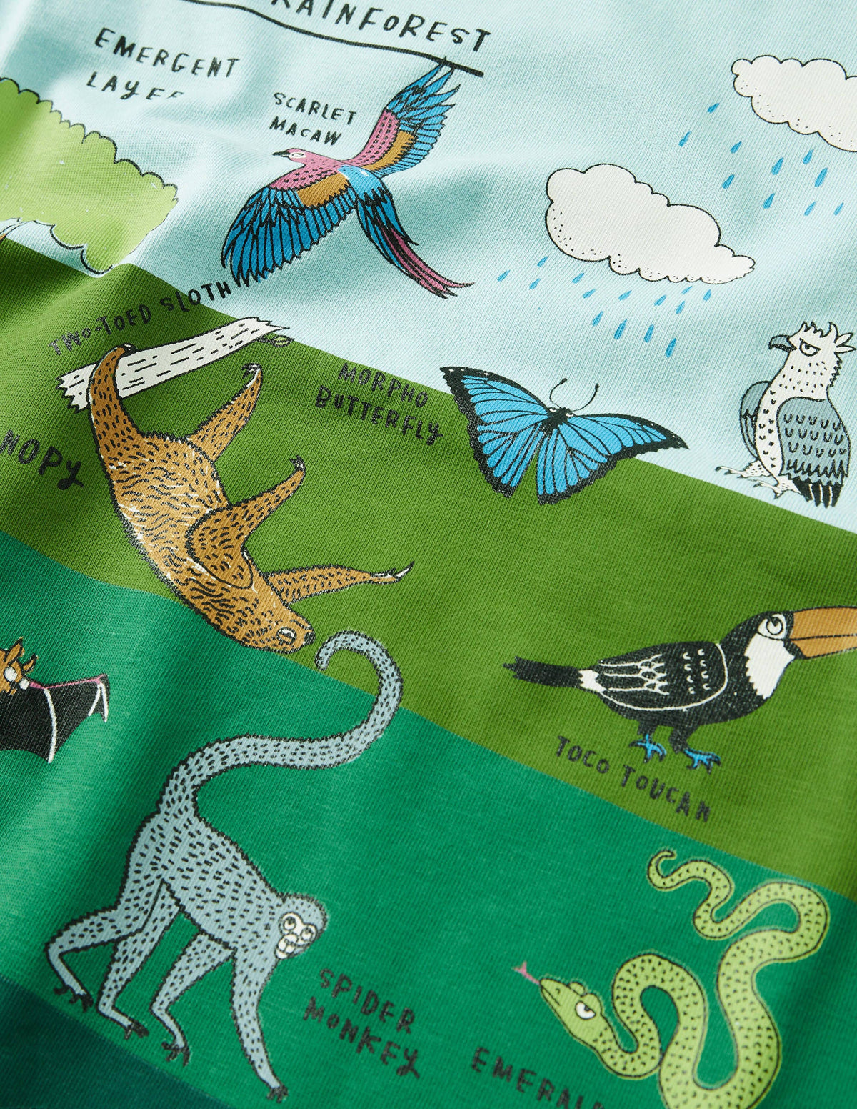 Graphic Layers T-shirt-Georgian Blue Rainforest-3