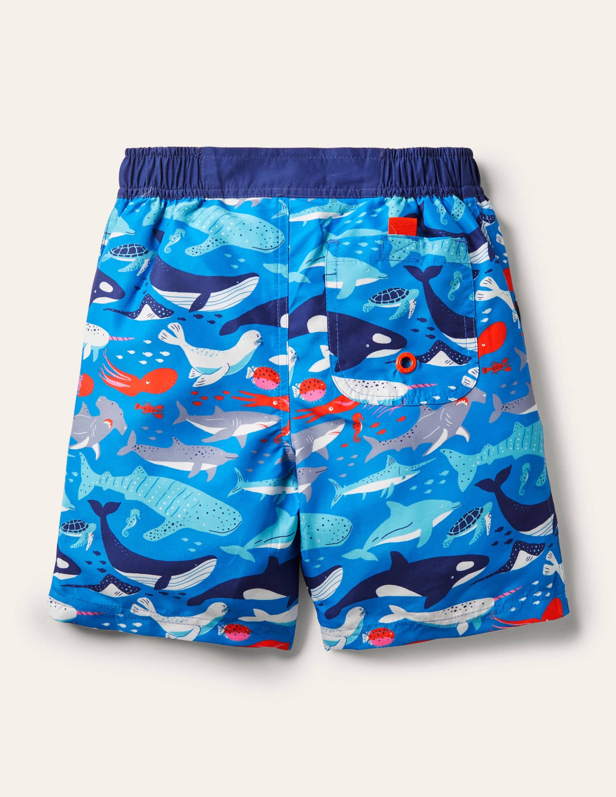 Short de bain-Sous l'océan bleu marocain - Image 2
