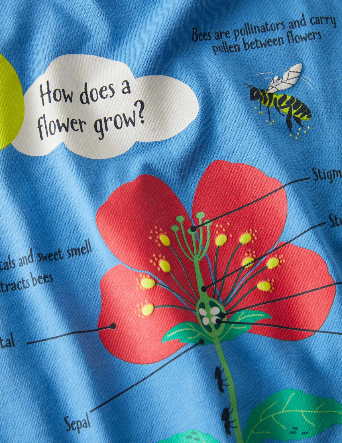 Printed Educational T-shirt-Bright Bluebell Blue Flower-3