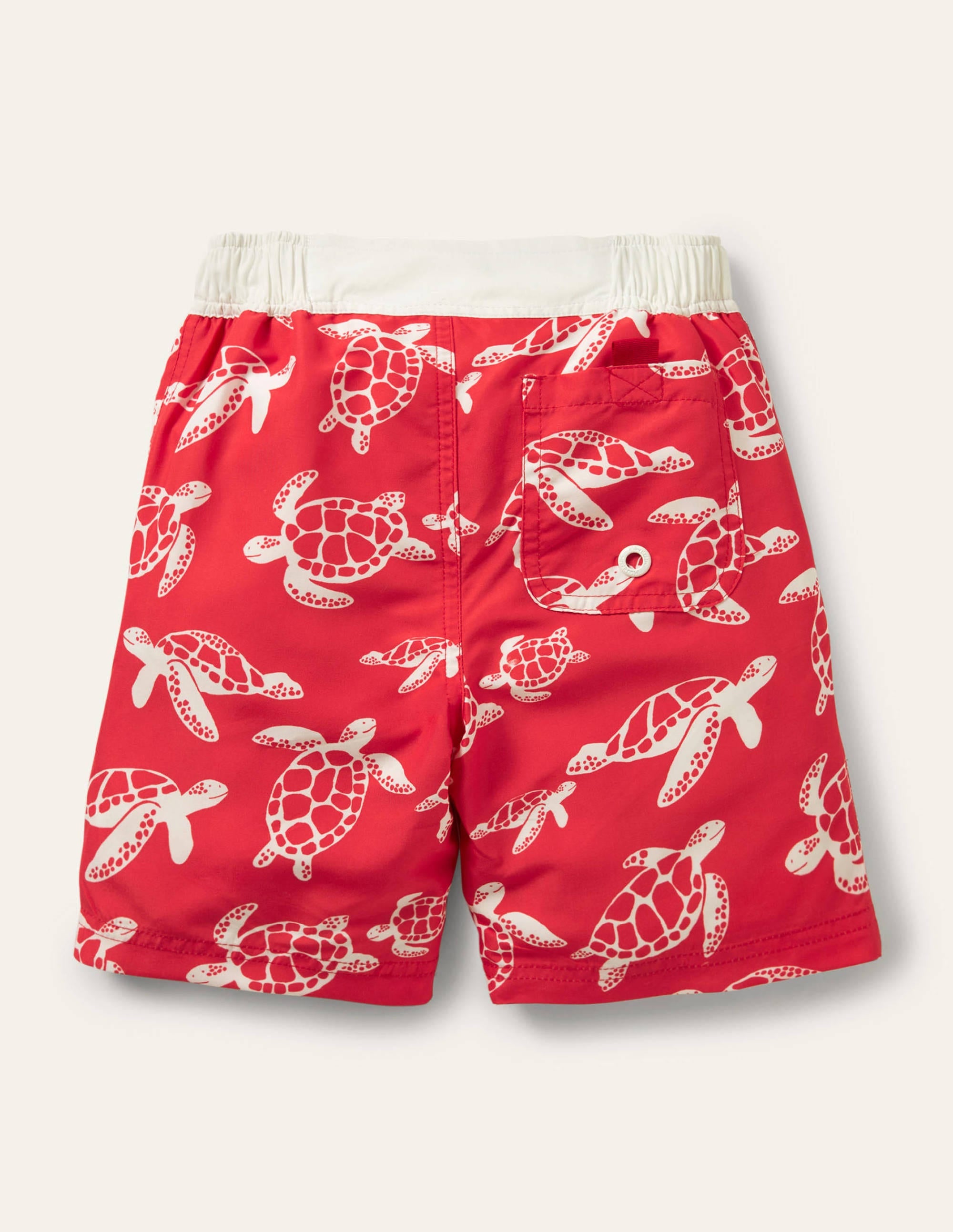 Bermudas-Raketenrot, Schildkröten - Image 2