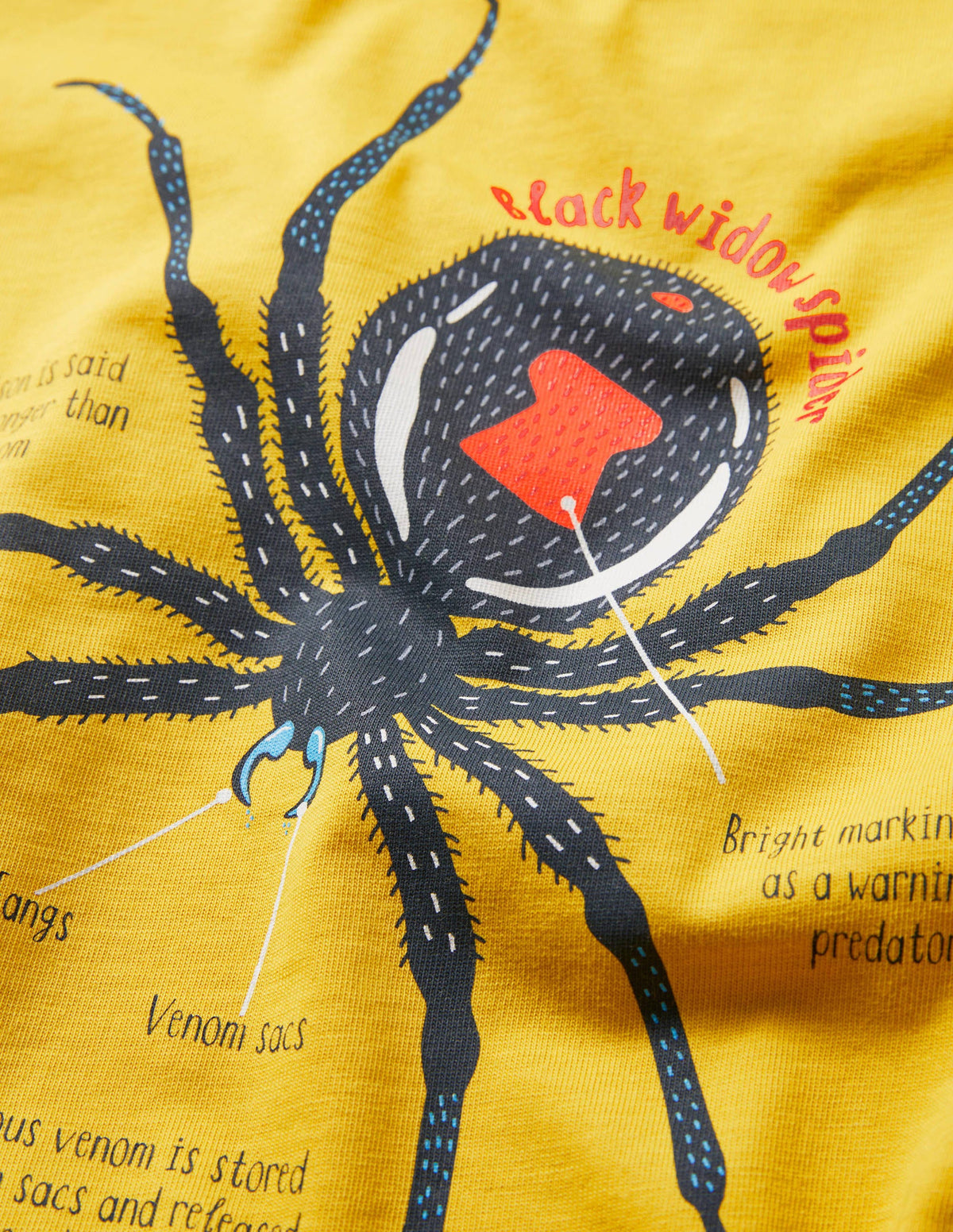 T-Shirt mit Bündchen und spannenden Fakten-Narzissengelb, Spinne - Image 3
