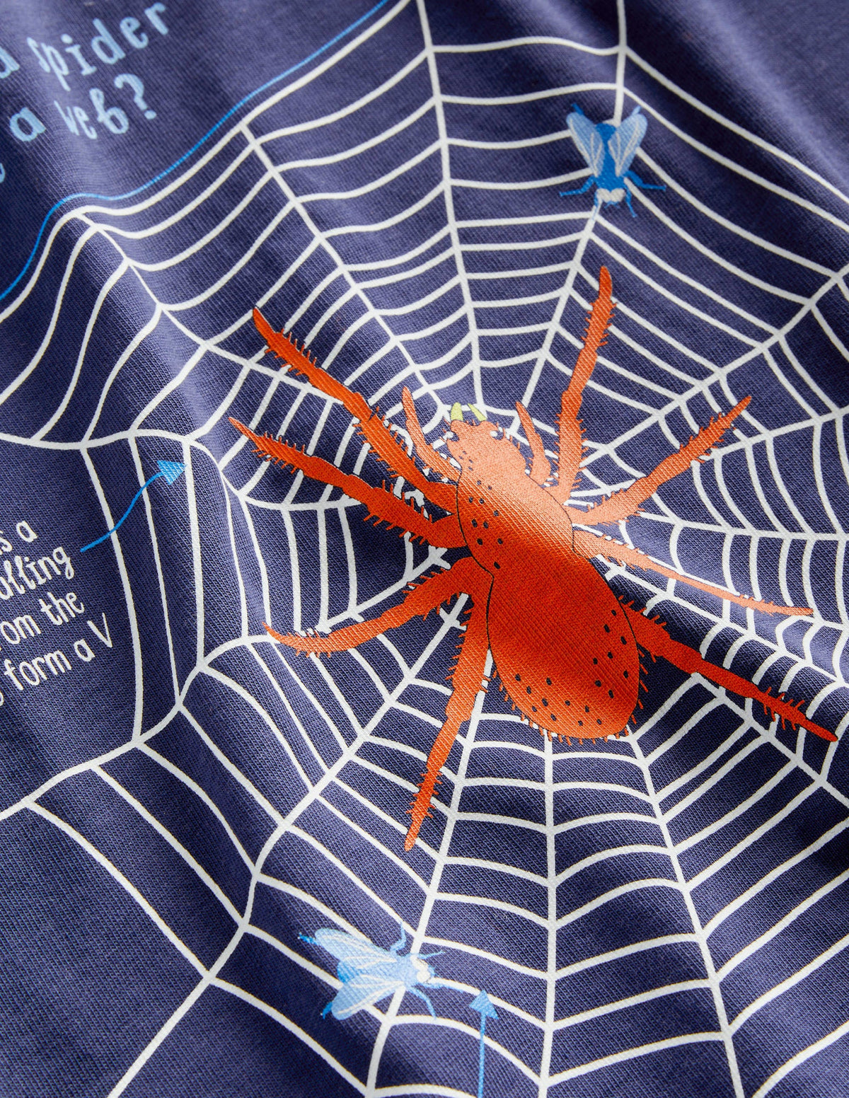 Navy Spider Print Long-Sleeved Halloween T-shirt-College Navy Spider Web-3