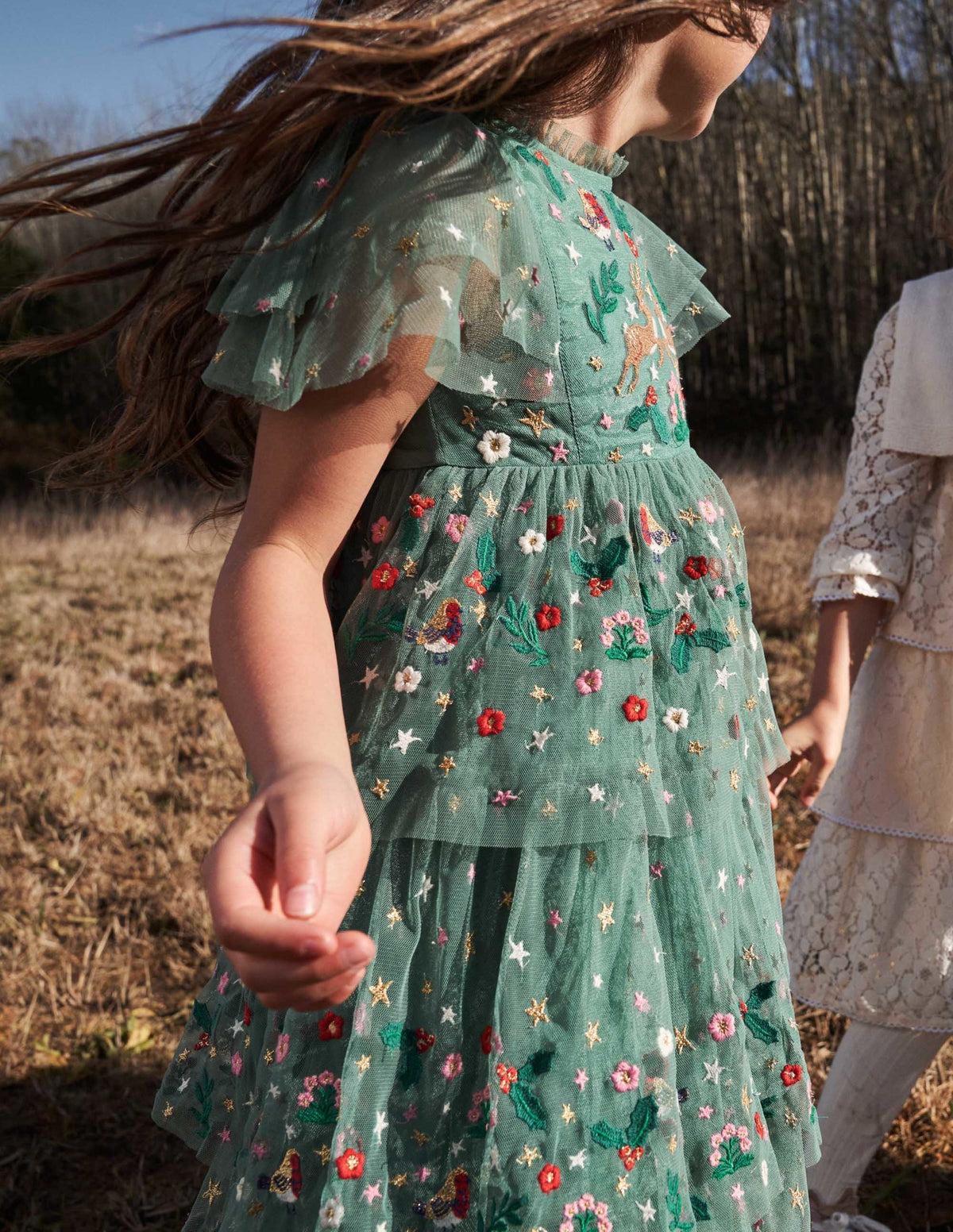 Green Frill Sleeve Tulle Embroidered Party Dress-Zultanitgrün, Weihnachtsmotiv - Image 6