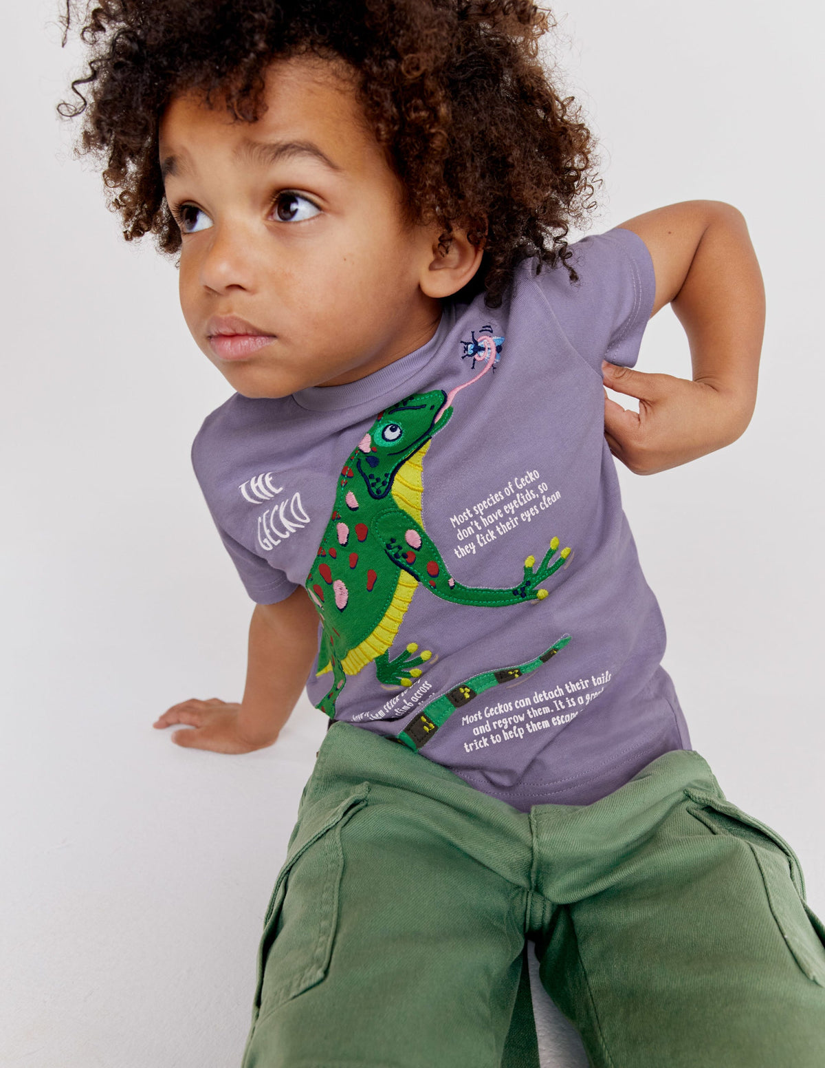 Animal Facts T-shirt-Misty Lavender Lizard-7