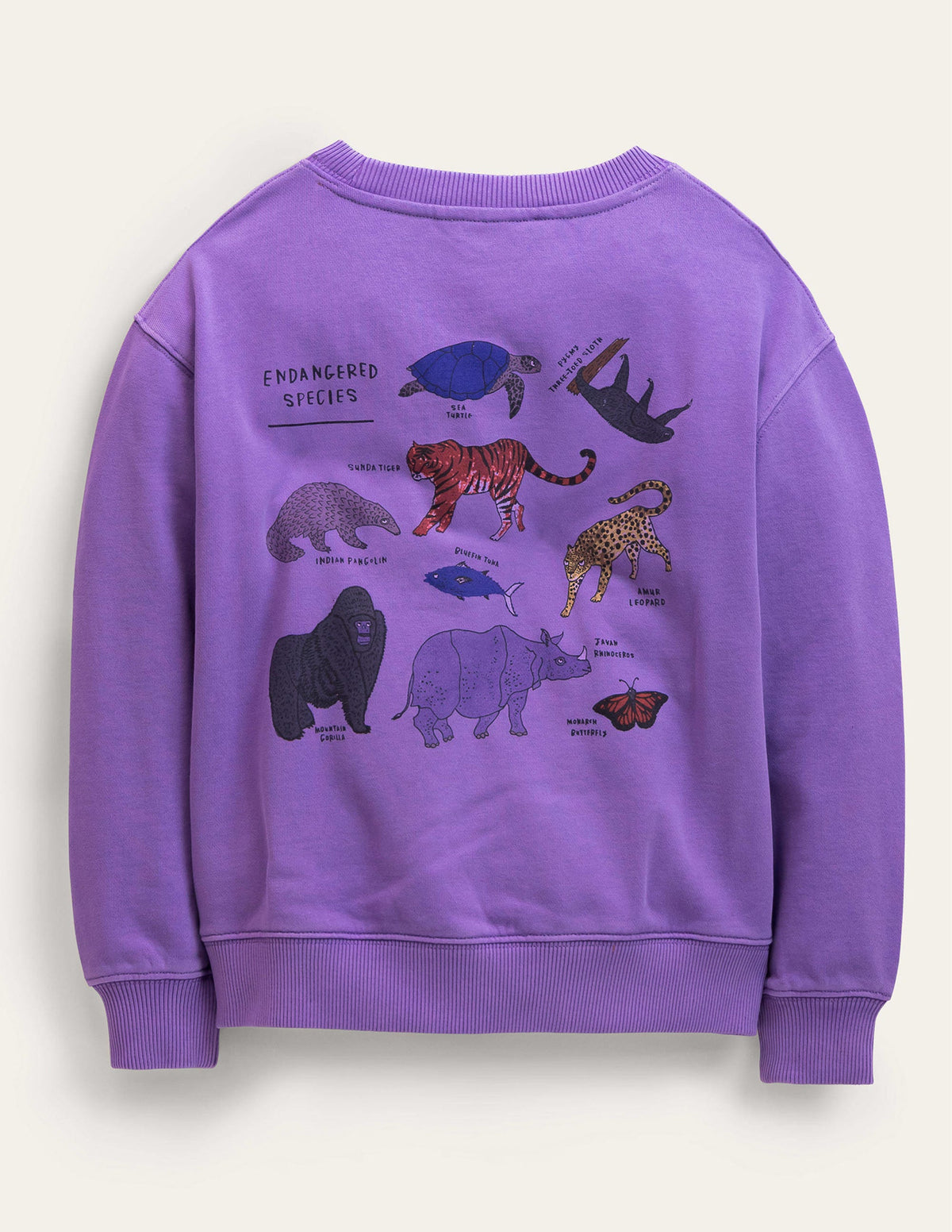 Sweatshirt mit Motiv-Asternviolett-2