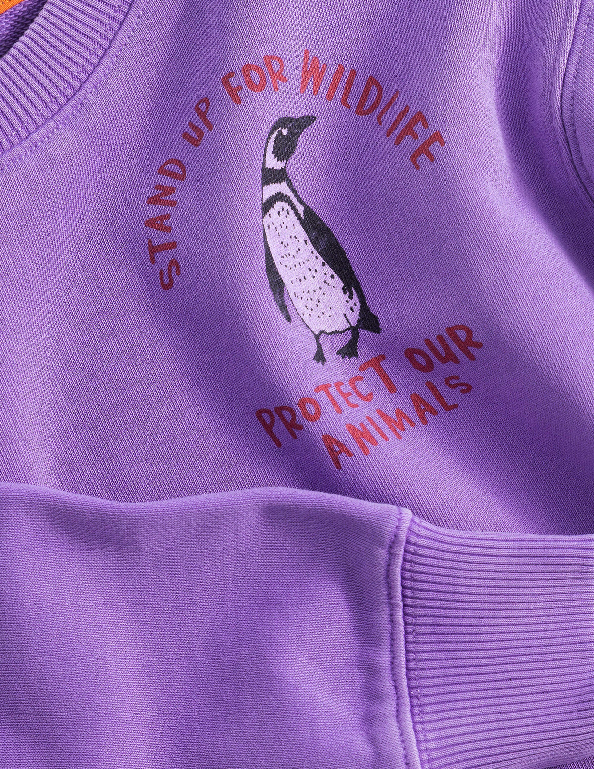 Sweatshirt mit Motiv-Asternviolett-3