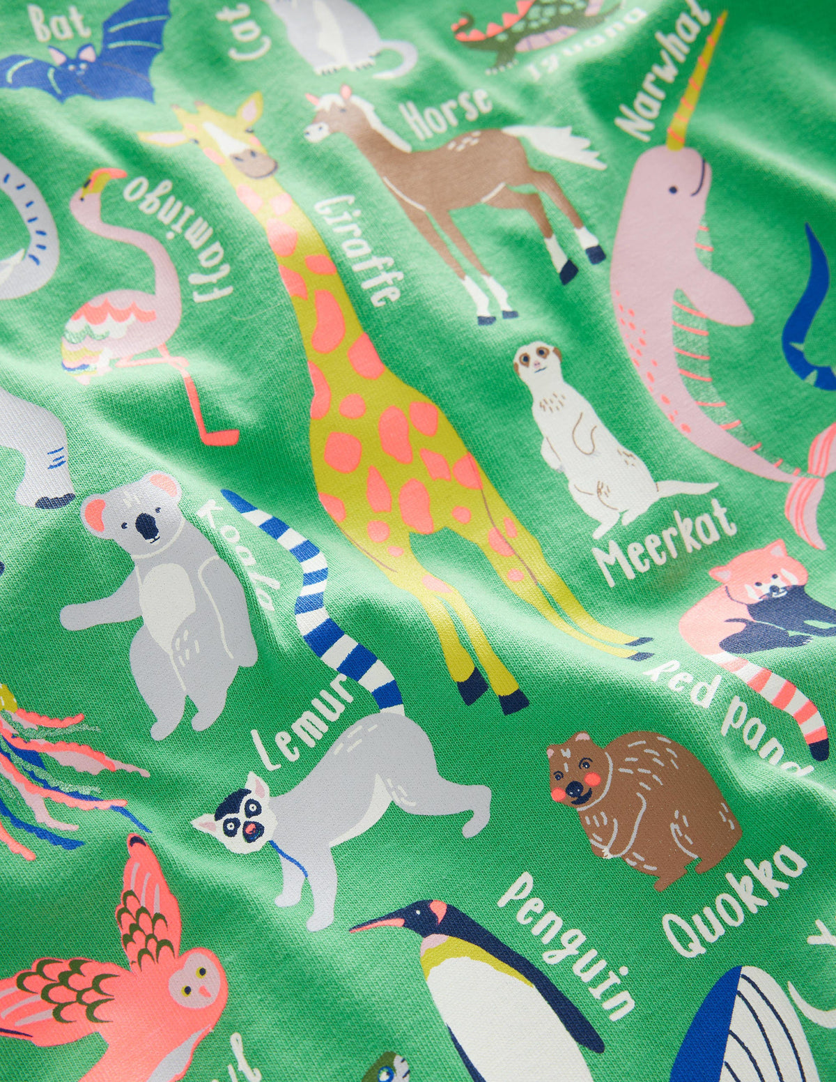 Lehrreiches T-Shirt mit Tiermotiv-Aloe-Vera-Grün, Tieralphabet - Image 3