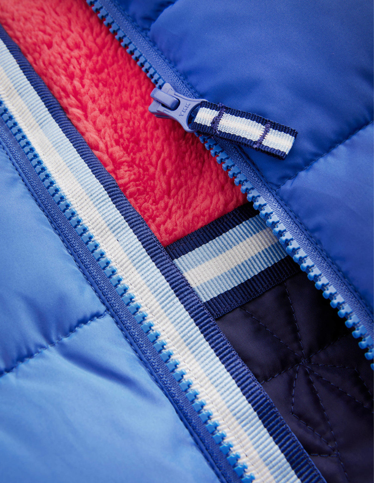 Lustige, wattierte Jacke-Hai-3