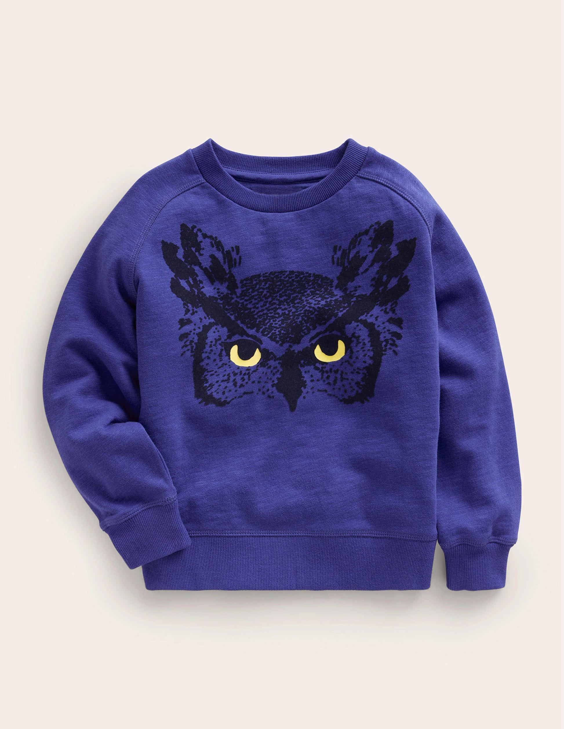 Sweat hibou-Azurant-1