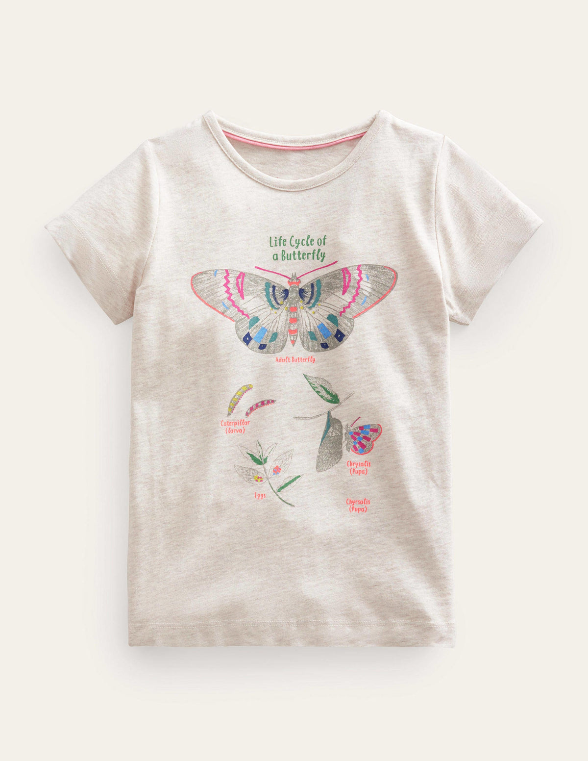 Oberteil mit lehrreichem Motiv-Hellbeige Meliert, Schmetterling-1