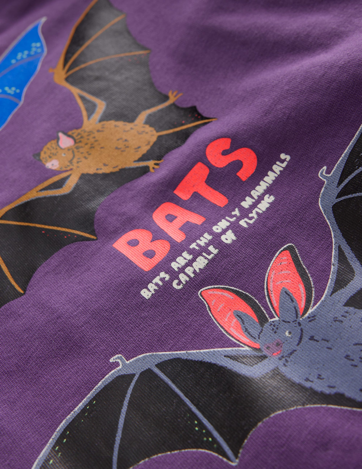 T-shirt phosphorescent-Chauves-souris violet mystique-3