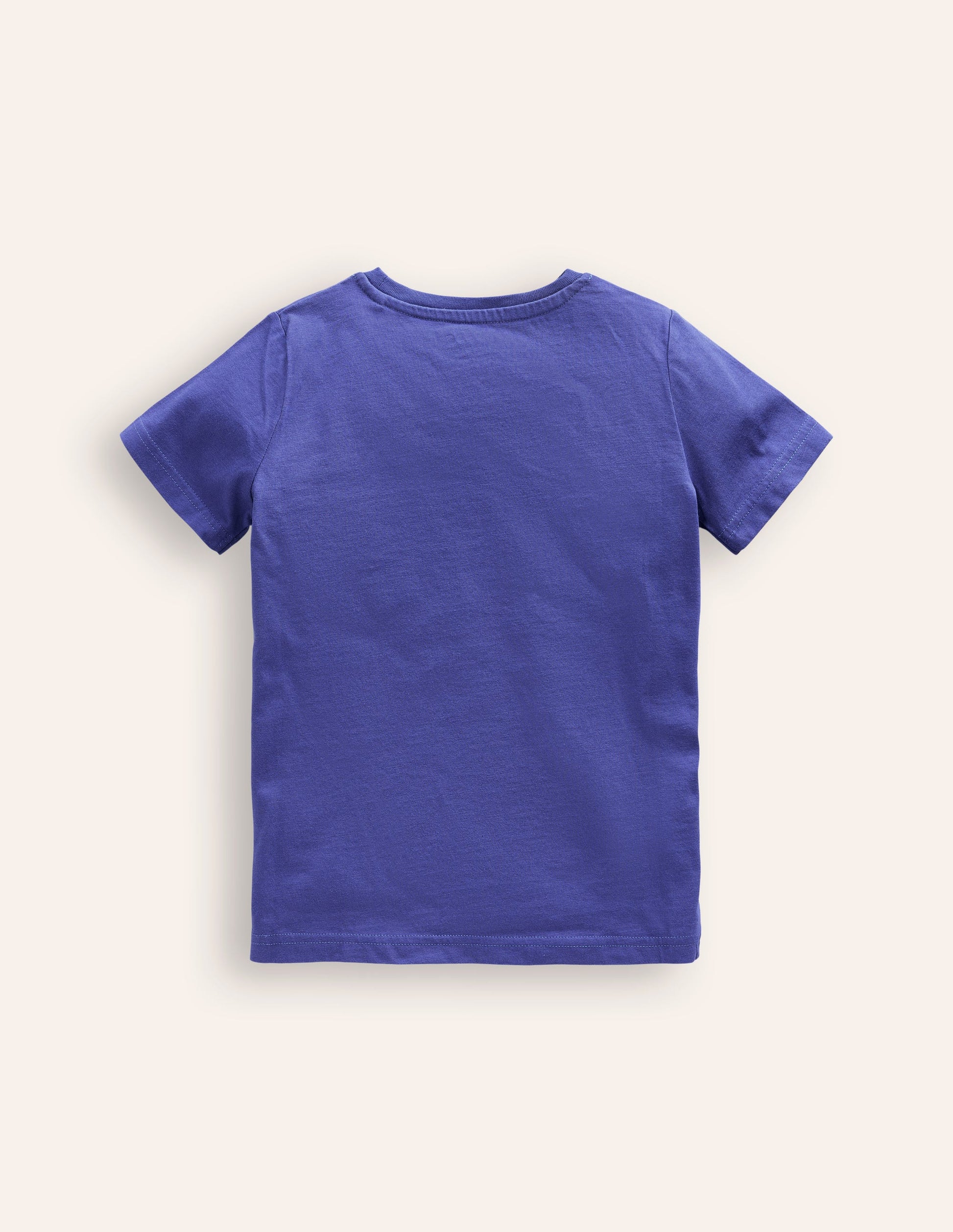 Appliqué Plane T-shirt-Blue Heron Aeroplane-2