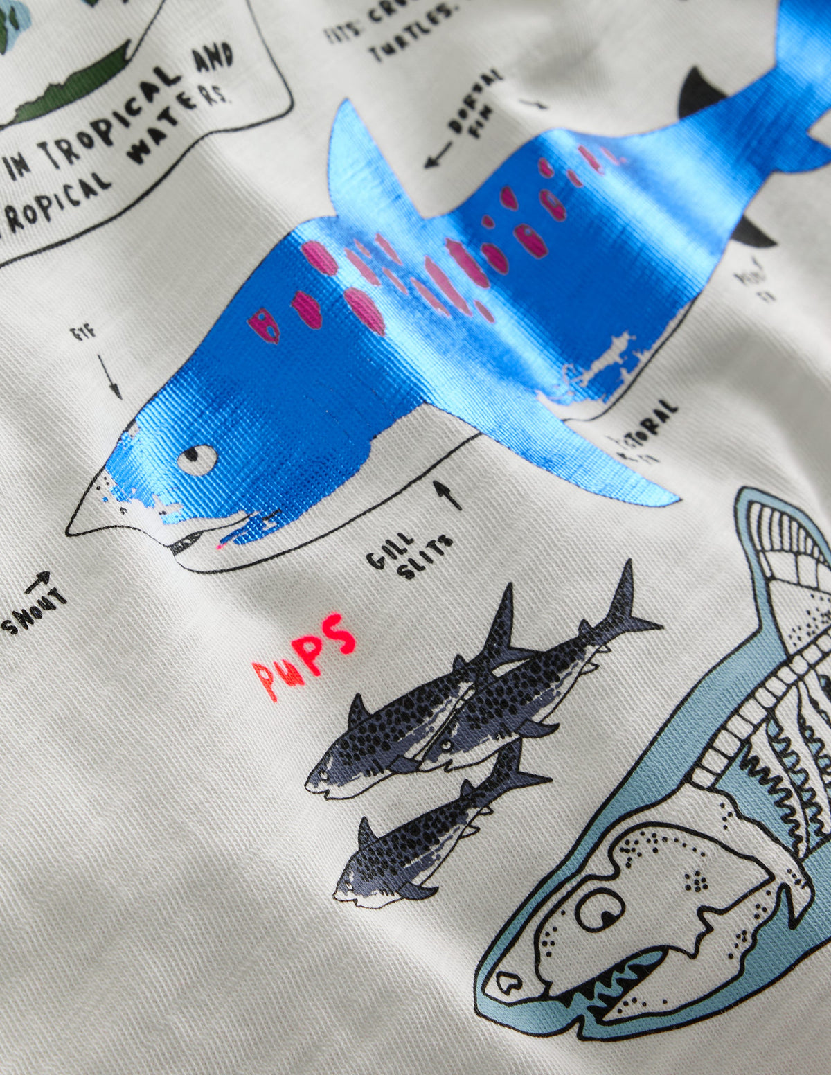 Raglan-T-Shirt mit Faktentabelle-Naturweiß/Marineblau Haie-3