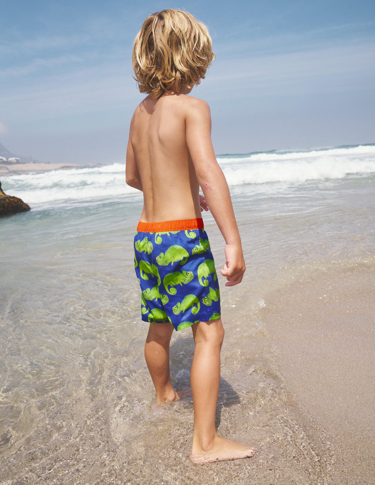Badeshorts-Blaureiher Chamäleons - Image 5