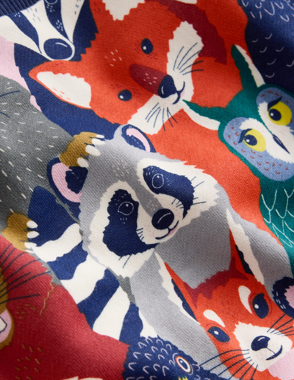 Printed Sweatshirt-Multi Animal Faces-3