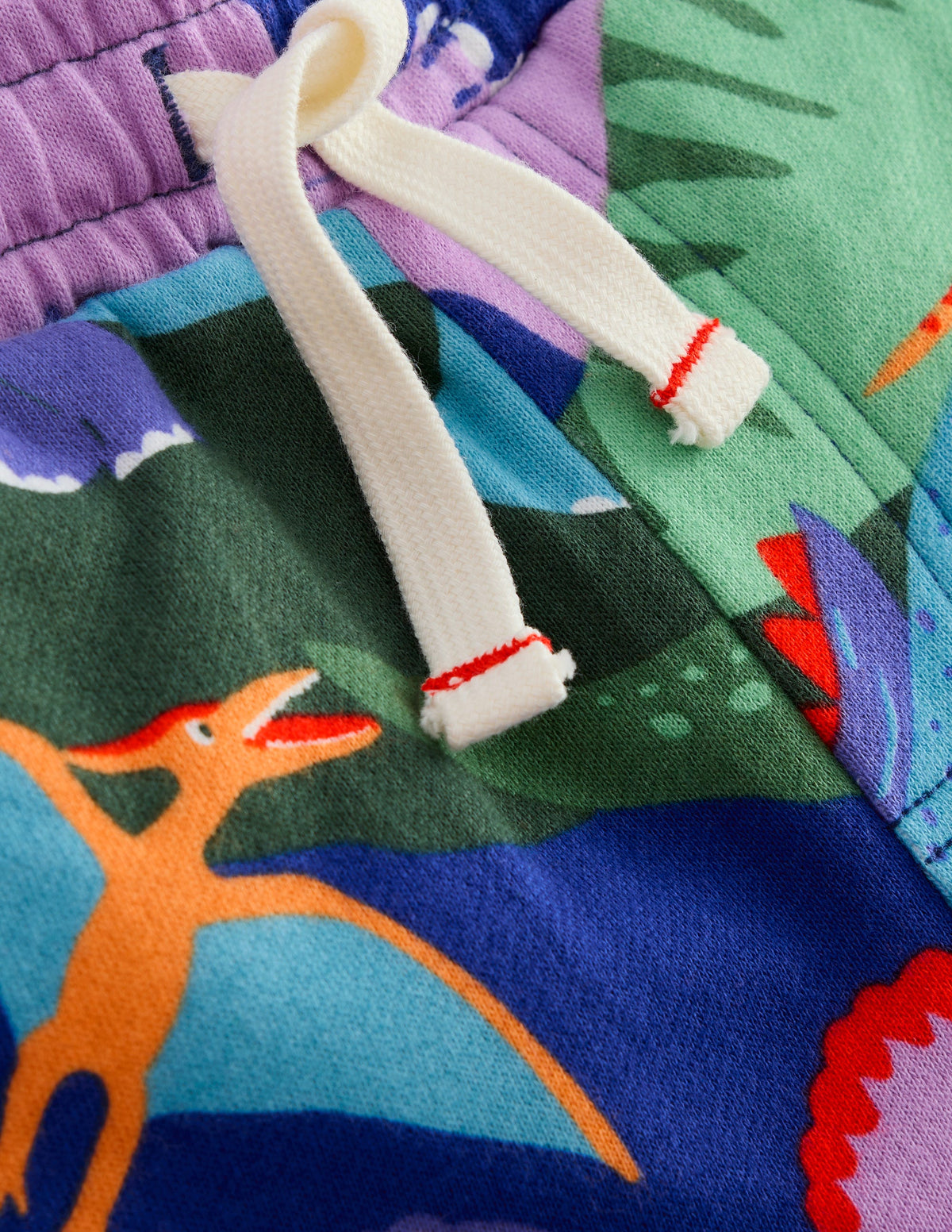 Short imprimé-Camouflage dinosaure multi-3
