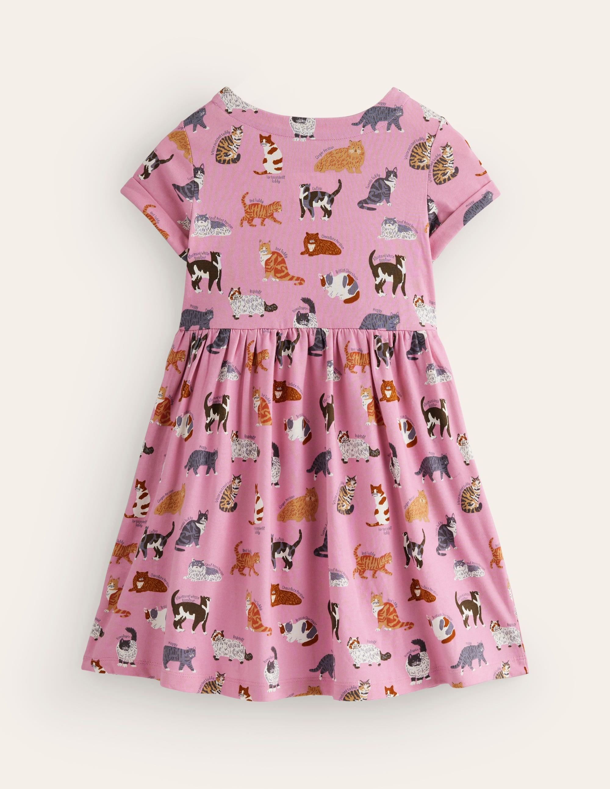 Short-sleeved Fun Jersey Dress-Formica Pink Cats - Image 2