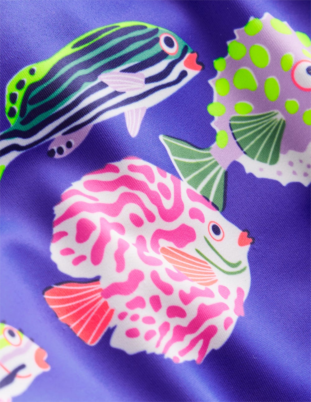 Badehose-Blaureiher Fisch - Image 3