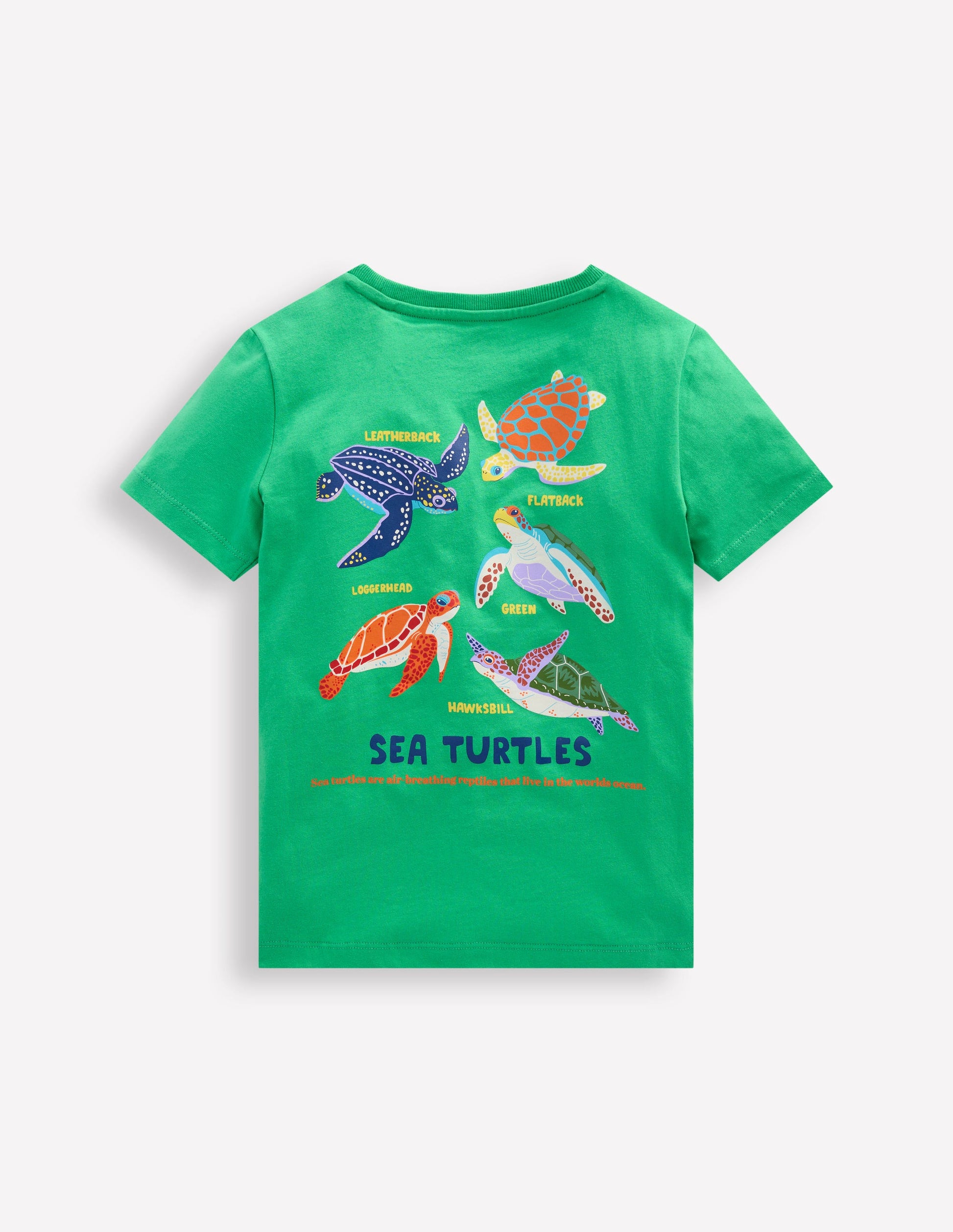 T-Shirt mit Druck auf Vorder- und Rückseite-Aquamarin-Blau Schildkröten-2