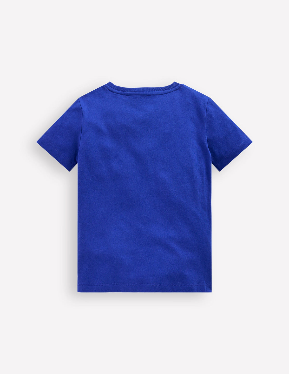 Bouclé-T-Shirt-Leuchtendes Blau Schildkröten - Image 2