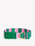Collier pour chien-Rayé vert/rose
