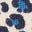Joli sweat volanté-Bleu Marine Floral