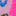 Short brodé en jersey-Rose punch broderie