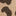Gerippte, ausgestellte Leggings-Mohair, Leopardenmuster
