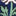 Gemusterte Bikinihose-Saphirblau Wiese Blumenmuster