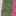 Short en jean-Rayé ivoire/vert/rose