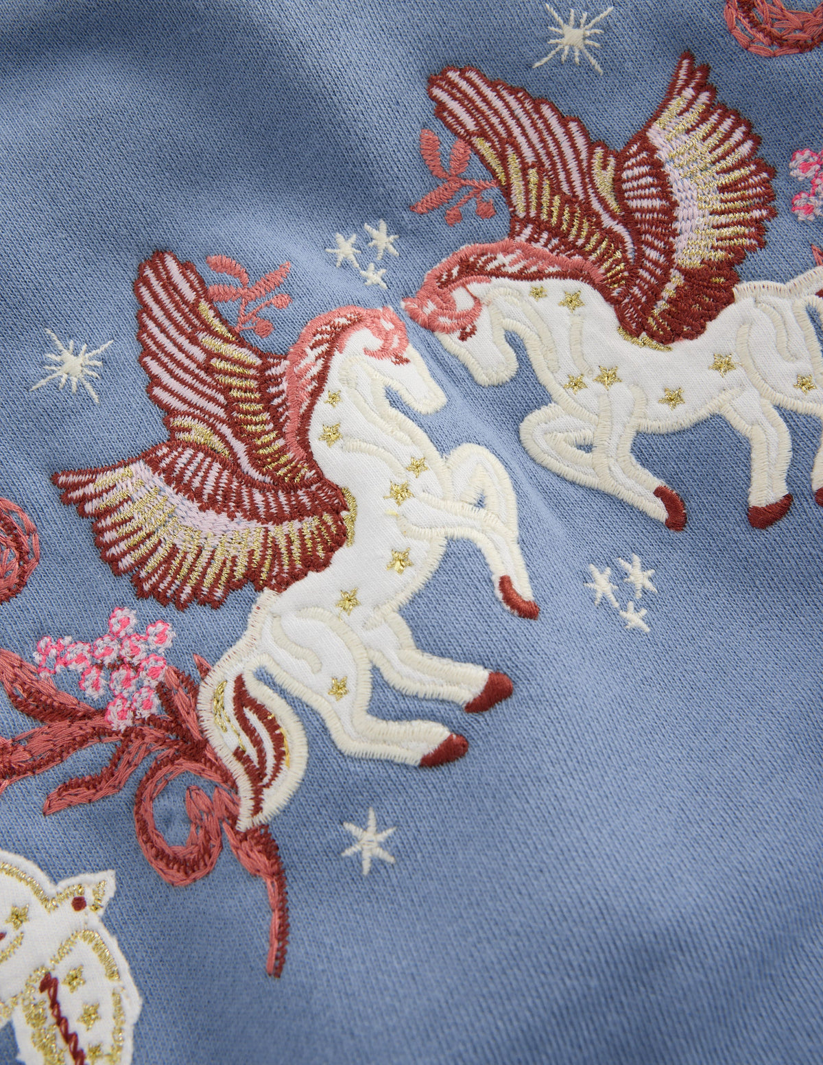 Bobbie Sweatshirt mit Applikation-Blau Pegasus-2