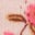 Top en coton et pointelle-Motif petites fleurs rose botanique