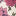 Tunika-Set aus Jersey-Vintage-Rosa Blumenbeet