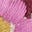Jemma Jacquard-Strickjacke-Leopardenmuster Kuddelmuddel